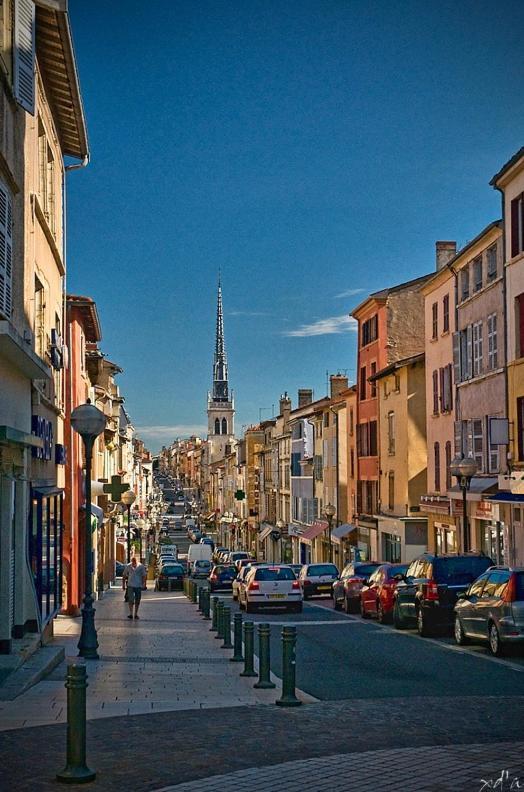 Appartement Le Cosy Shelby Proche Gare 150M à Villefranche-sur-Saône Extérieur photo